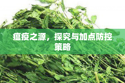 探究与加点防控策略图片