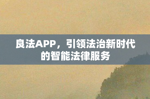 引领法治新时代的智能法律服务图片