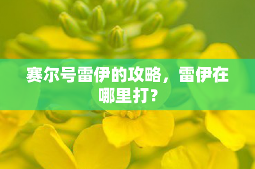 赛尔号雷伊的攻略图片