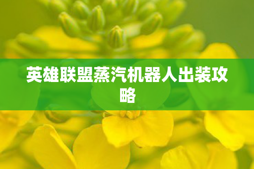 英雄联盟蒸汽机器人出装攻略图片