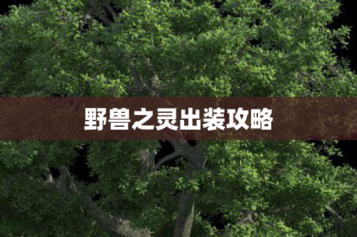 野兽之灵出装攻略图片