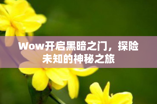 Wow开启黑暗之门图片