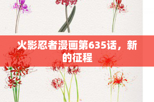 火影忍者漫画第635话图片