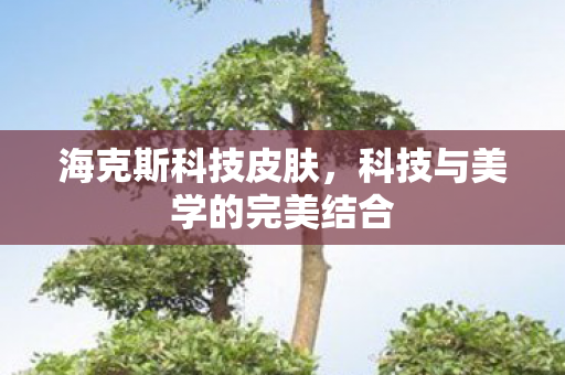 科技与美学的完美结合图片