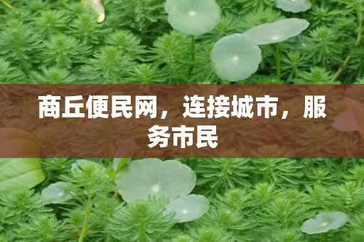 商丘便民网图片