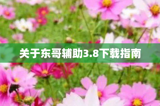 关于东哥辅助3图片