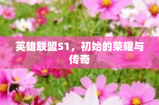 初始的荣耀与传奇图片