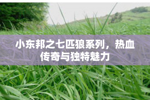 小东邦之七匹狼系列图片