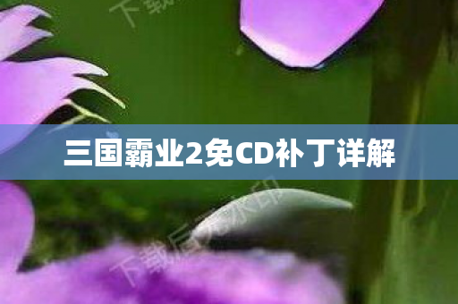 三国霸业2免CD补丁详解图片