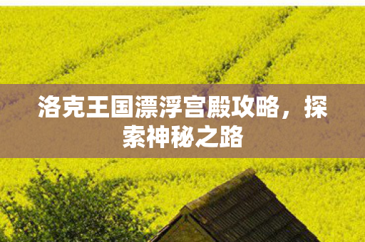 洛克王国漂浮宫殿攻略图片