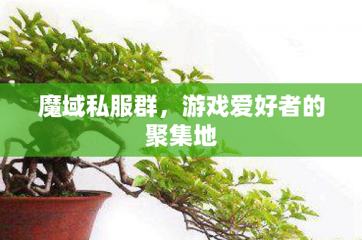 游戏爱好者的聚集地图片