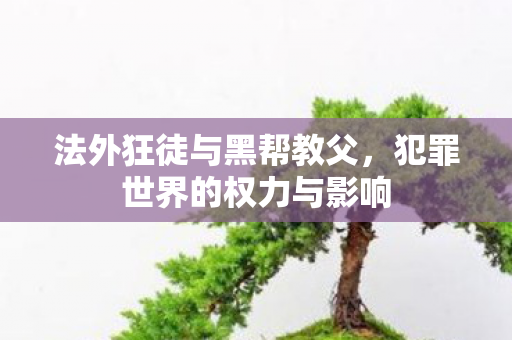 犯罪世界的权力与影响图片