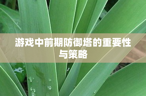 游戏中前期防御塔的重要性与策略图片