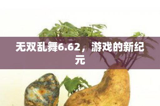 游戏的新纪元图片