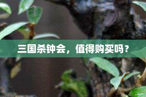 三国杀钟会图片