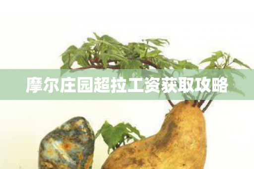 摩尔庄园超拉工资获取攻略图片