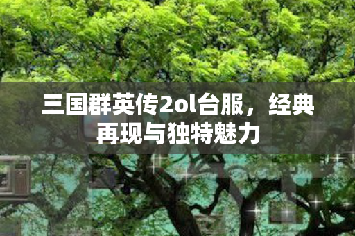 三国群英传2ol台服图片
