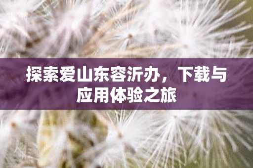 下载与应用体验之旅图片