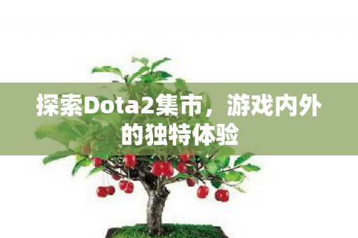 探索Dota2集市图片