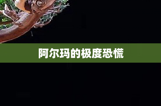 阿尔玛的极度恐慌图片