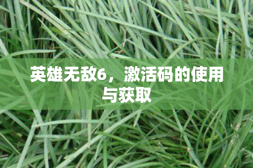 激活码的使用与获取图片