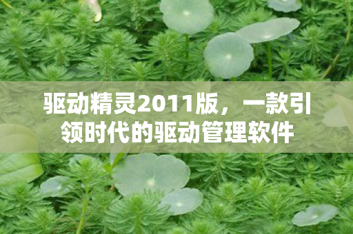 一款引领时代的驱动管理软件图片