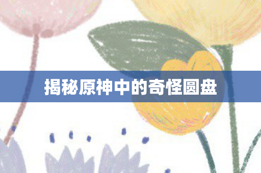 揭秘原神中的奇怪圆盘图片