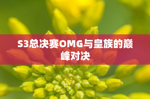 S3总决赛OMG与皇族的巅峰对决图片