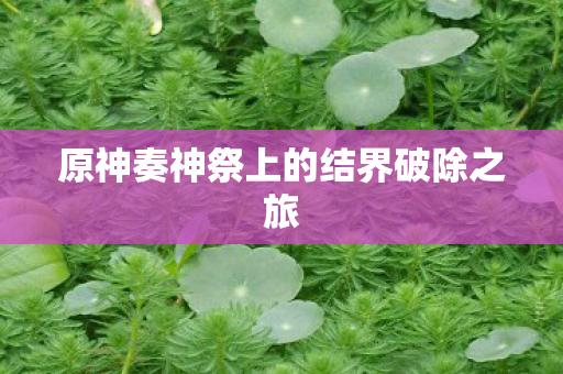 原神奏神祭上的结界破除之旅图片