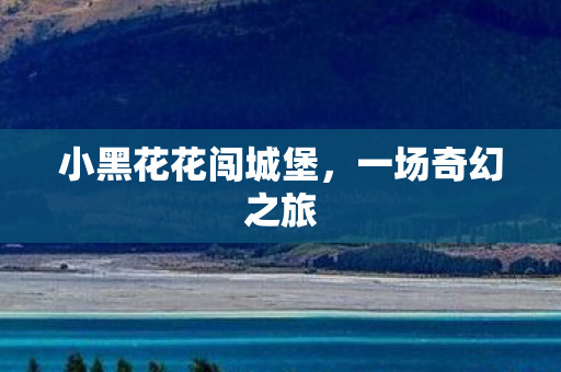 小黑花花闯城堡图片