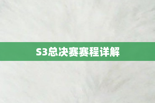 S3总决赛赛程详解图片