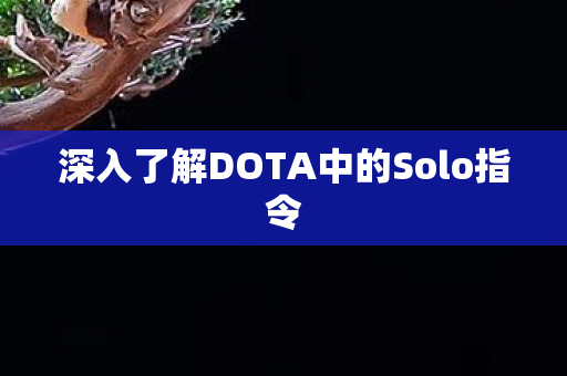深入了解DOTA中的Solo指令图片