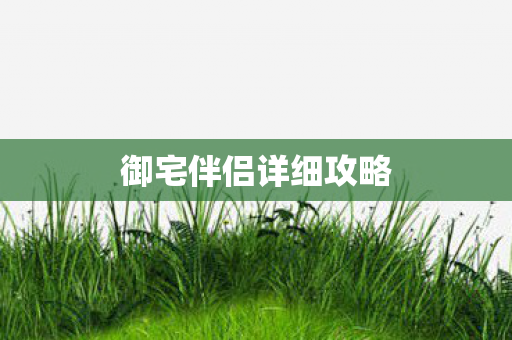 御宅伴侣详细攻略图片