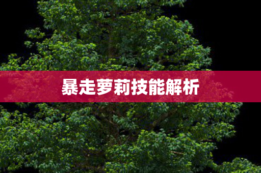 暴走萝莉技能解析图片