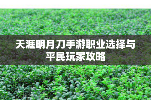 天涯明月刀手游职业选择与平民玩家攻略图片