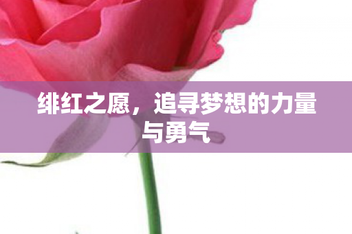 追寻梦想的力量与勇气图片