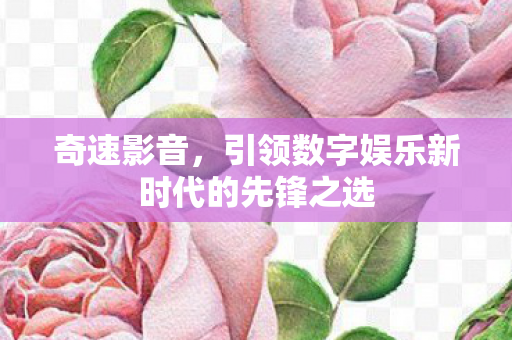 引领数字娱乐新时代的先锋之选图片