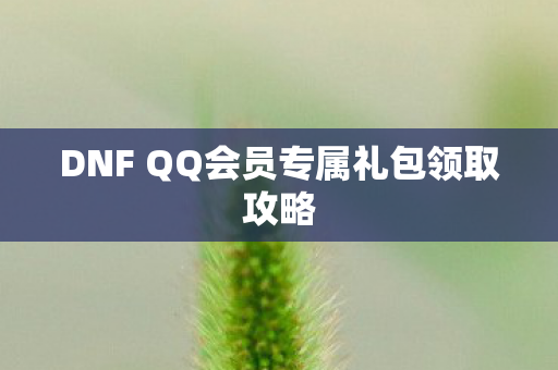 DNF QQ会员专属礼包领取攻略图片