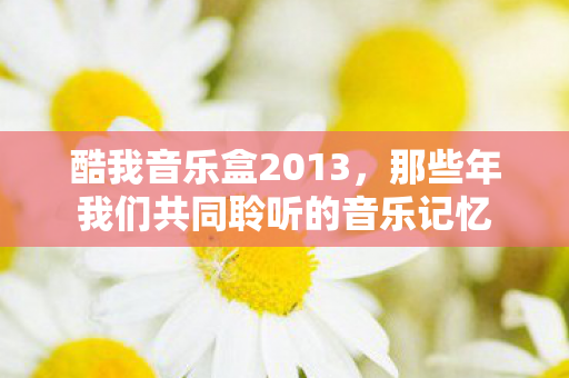 那些年我们共同聆听的音乐记忆图片