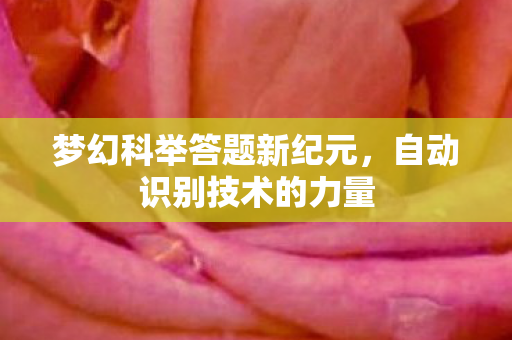 梦幻科举答题新纪元图片