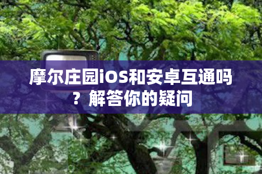 摩尔庄园iOS和安卓互通吗图片