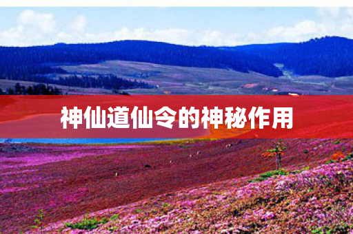 神仙道仙令的神秘作用图片