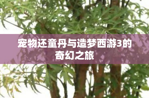 宠物还童丹与造梦西游3的奇幻之旅图片