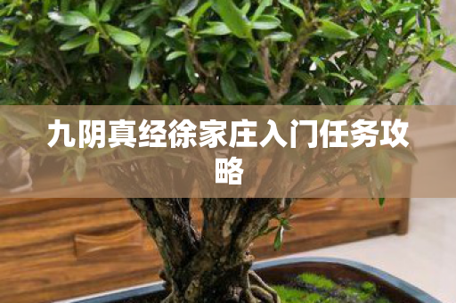 九阴真经徐家庄入门任务攻略图片