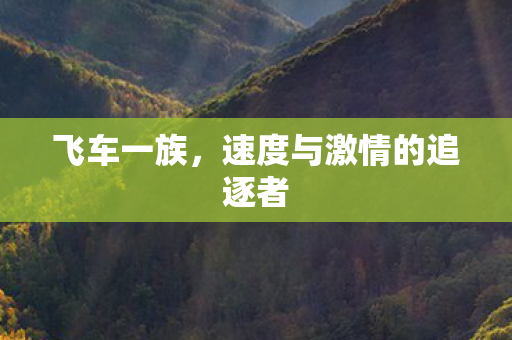 速度与激情的追逐者图片