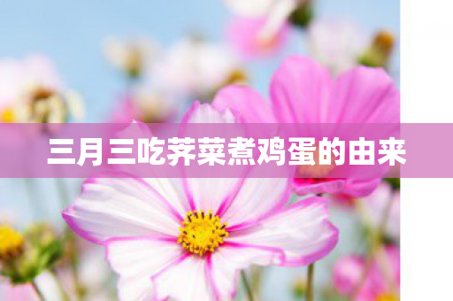 三月三吃荠菜煮鸡蛋的由来图片