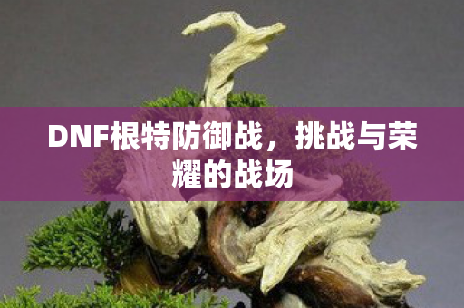 DNF根特防御战图片