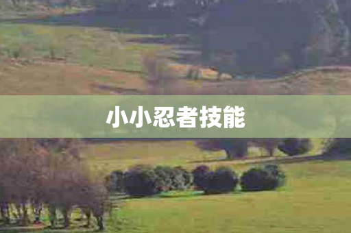 小小忍者技能图片