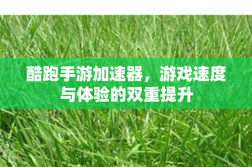 游戏速度与体验的双重提升图片