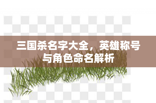 英雄称号与角色命名解析图片